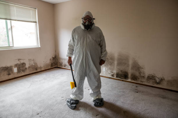 Best Mold Removal for HVAC Installations  in Shamokin Dam, PA